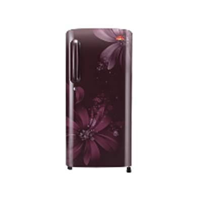 Picture of LG REFRIGERATOR B191KDSB