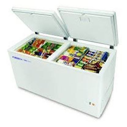 Picture of BLUE STAR DEEP FREEZER 400 LTR